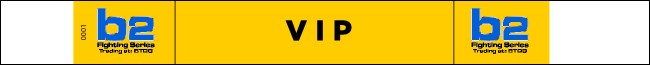 VIP Yellow Wristband Product Front